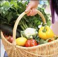 Завершено исследование рынка органических овощей и зелени в Москве