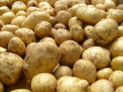 Картофель собственного производства урожай 2011 года