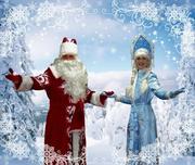 Дед Мороз поздравит Ваших детей