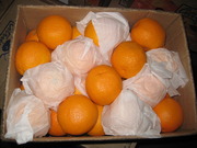 Апельсины «Navelina» 