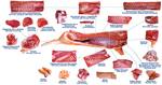 Продаем,  мясо(свинина говядина баранина),  птицу,  рыбу,  морепродукты,  я