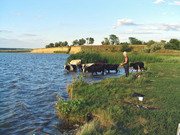 Участок на юге вблизи г.Таганрога и Азовского моря.