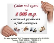 Создание сайтов и интернет-магазинов от 5000 руб