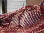 оптовая продажа говядины,  свинины из Беларуси