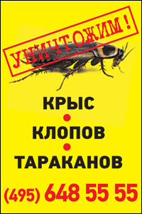 Уничтожение тараканов,  уничтожение клопов в Москве