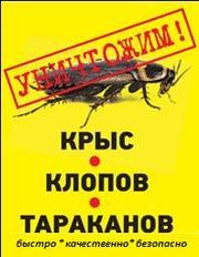 Уничтожение клопов - профессионально,  Москва