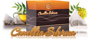 Тонизирующий чай Camellia sibirica (Камелия сибирика) с золотым корнем