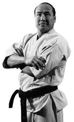 Личный домашний тренер по каратэ kyokushinkai