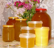Натуральный мед белорусского качества оптом с частных пасек от 3$/кг