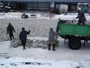 Навага естественной заморозки,  Склад: Владивосток.