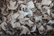 Белые грибы сушеные из Алтайского края