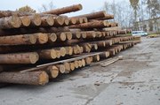 Бревна из лиственницы. Москва