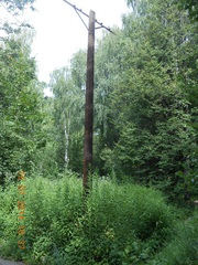 Столбы освещения деревянные сосна с пропиткой