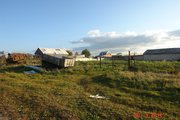 Продается мини-ферма со своим пастбищем и жилым домом 250 км от Москвы