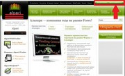 Консультации по инвестированию в форекс Альпари и ИнстаФорекс