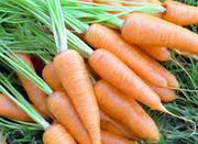 Морковь свежая.