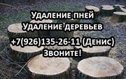 Удаление пней и деревьев,  работают профессионалы