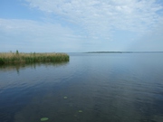 Отдых в усадьбе Беларуси на берегу озера