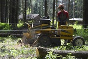 Удаление деревьев.Спил деревьев