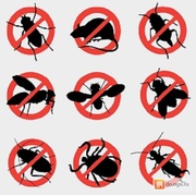 Зачистим ваш дом,  офис,  объект от насекомых и грызунов — вредители не пройдут! Быстро,  конфиденциально,  с гарантией результата