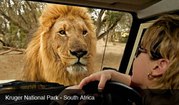 Путешествие в Африку. Туры в ЮАР. Сафари в Африке. 
