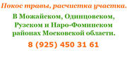 Покос травы,  кошу траву,  расчистка участка,  спил деревьев,  обустройств