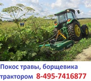 89637508470  Услуги трактора по покосу борщевика ,  покос бурьяна Московская область