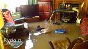 Просушка квартиры после затопления (залива,  потопа)