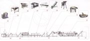 Линии переработки плодов и овощей