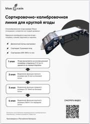 Сортировочно-калибровочная и фасовочная линия для круглой ягоды